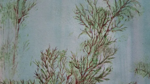 Mixed media artwork of pine leaves.