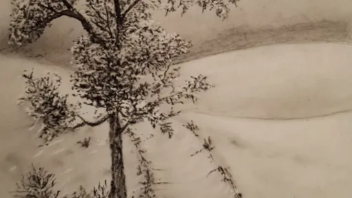 Graphite pencil drawing of a tree on a hill covered in snow