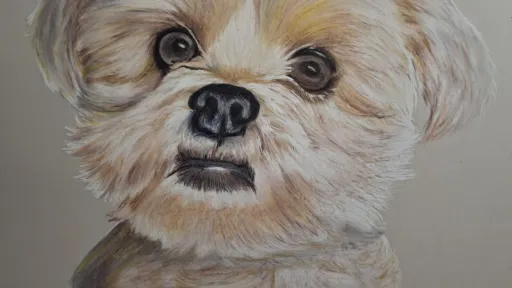 Color pencil artwork of a fluffy dog.