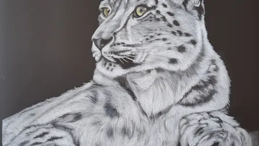 Artwork of a snow leopard in white pencil on black polyester film
