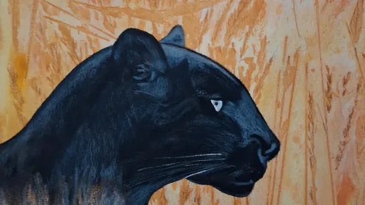 Watercolor and black pencil of a black panther in tall golden grass.