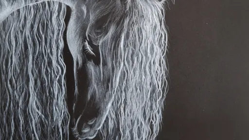 White pencil drawing of a horse's head with a long, textured mane, contrasting on black polyester film.