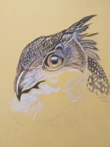 Part of the Owl's head completed