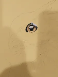 Eye of the owl completed