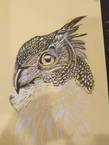 Top of the Owl's head completed