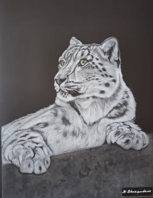 Artwork of a snow leopard in white pencil on black polyester film