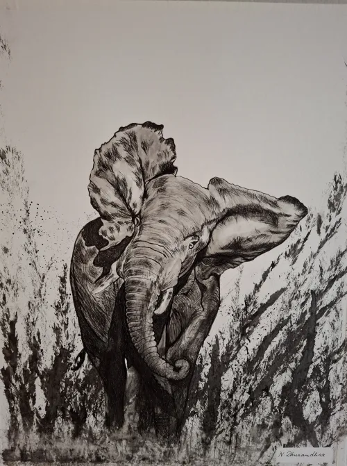 Ink drawing of an elephant in tall grass