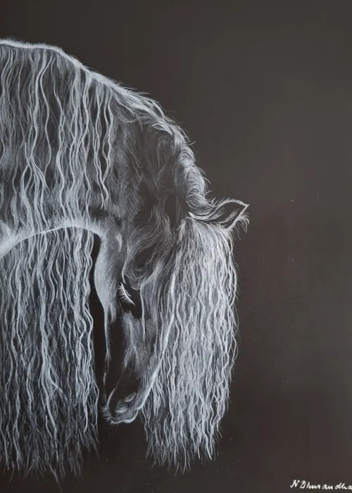 White pencil drawing of a horse's head with a long, textured mane, contrasting on black polyester film.
